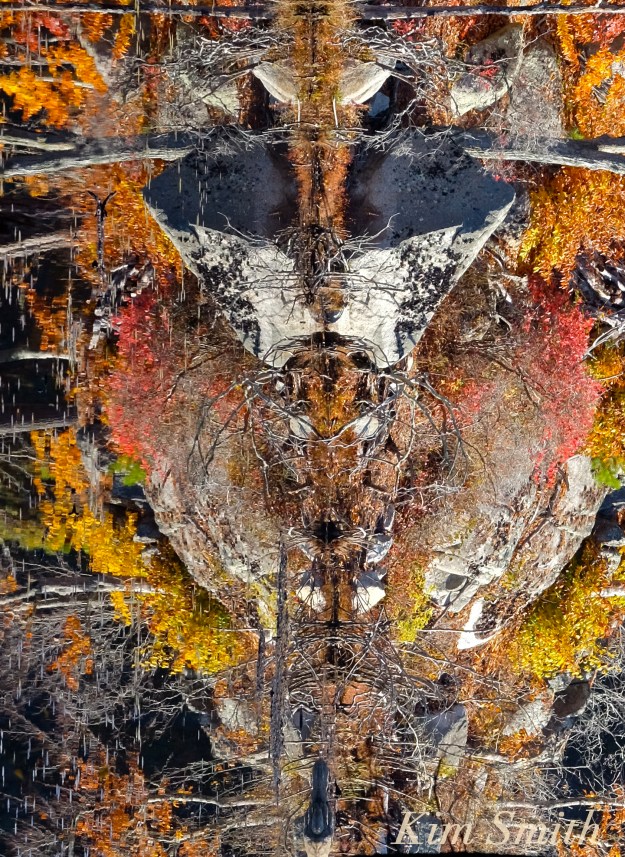 Symmetry | Kim Smith Films